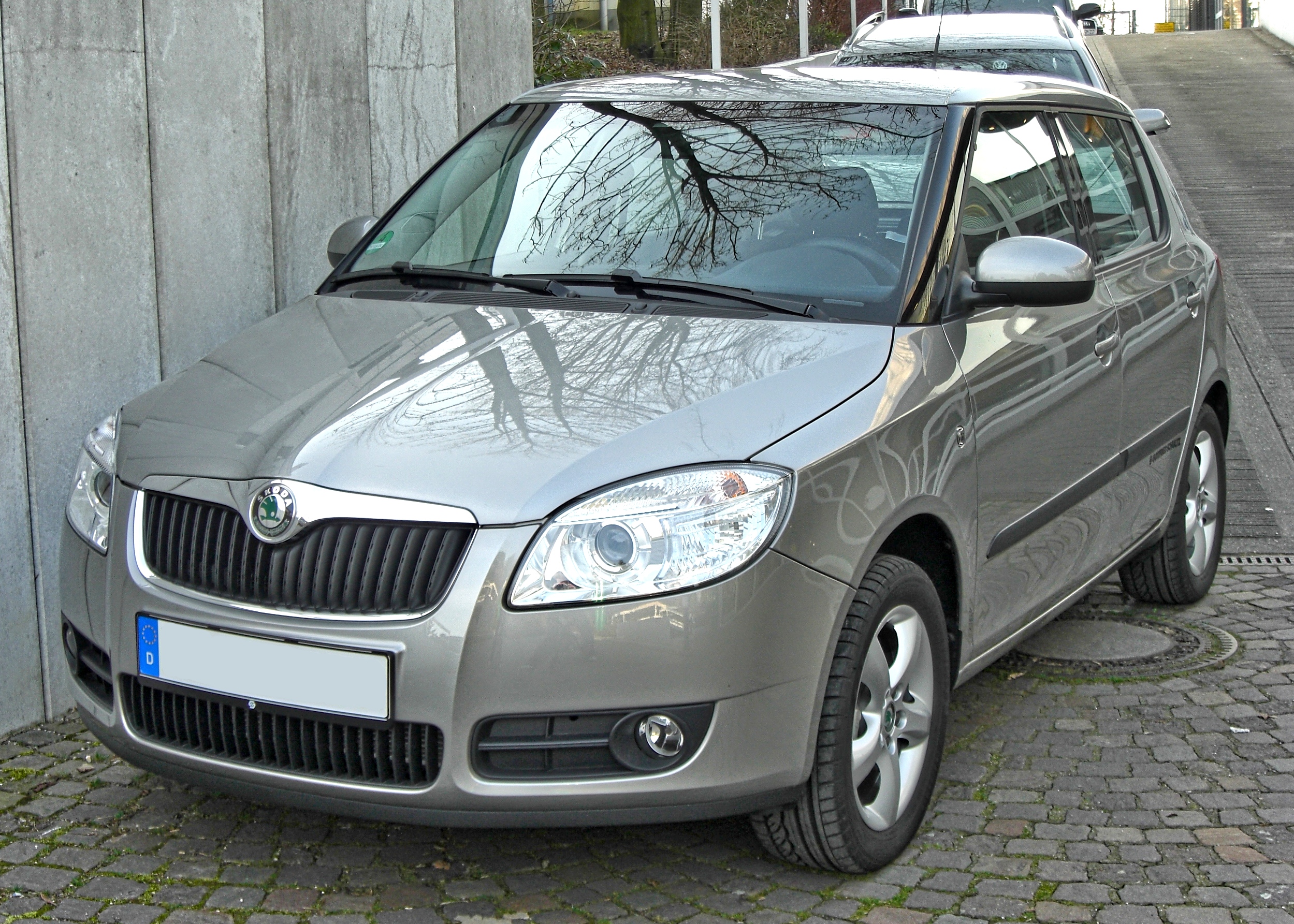 %C5%A0koda_Fabia_II_20090321_front.jpg